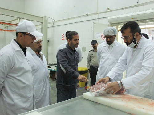 بازدید مدیر عامل از شرکت ژلاتین آریا و کشتارگاه صنعتی گوشت مشهد